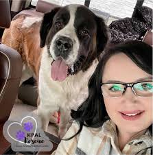 Kenai Peninsula Animal Lovers Rescue