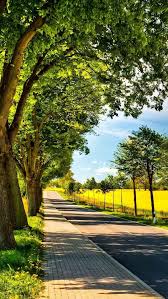 Beautiful Scenery Scenery Http Pinterest Com Ahaishopping Dslr Background Images Best Background Images New Background Images