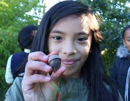 Karen Tibbitts's Instagram, Twitter & Facebook