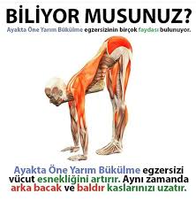 Saglik Egzersiz Saglik Evde Egzersiz