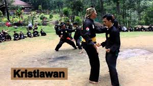 Jurus psht 1 36 lagu mp3 dan video mp4 downloadmp3 gratis. Senam Jurus By Kpsnusantara