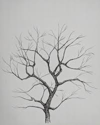 We did not find results for: Tree Drawing I Love Seeing Them With No Leaves This Time Of Year Drawing