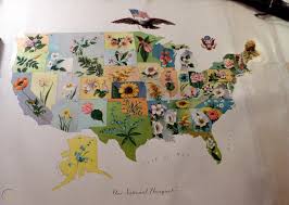 Download in under 30 seconds. 1911 U S State Flower Map 37 X 27 Used Antique Lithograph 1799619701