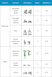 Programme De Musculation Pour Debutant Sur 6 Semaines Comprend Un Guide Des Entrai Musculation Pour Debutant Programme Musculation Programme Musculation Homme