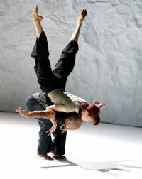 Sylvie Guillem Danseur Contemporain Danse Contemporaine Porte Danse