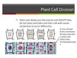 We did not find results for: How Do You Grow Give Examples And Be Specific Ppt Download
