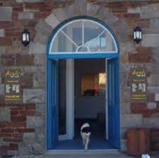Your friendly, local, small animal veterinary. All Pets Vet Care Allpetsvetcare Twitter