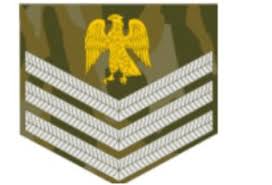 The new logo is a slight modification of the star position in the logo but still include the inscription from the holy quaran. Nigerian Army Ranks And Symbols 2021 See Complete Information Current School News