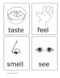 For your references, there is another 15 similar photographs of five senses coloring pages free that shyann lockman uploaded you can see below : Coloring Page Of 5 Senses Coloring Home
