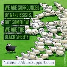 In the english language, black sheep is an idiom used to describe a member of a group, different from the rest, especially within a family, who does not fit in. 14 Black Sheep Of My Family Ideas Black Sheep Black Sheep Of The Family Black Sheep Quotes