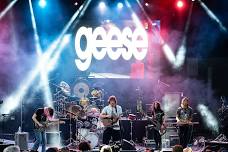 Goose - The Band