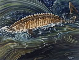 The Giant Sturgeon Of Lake Superior According To Chippewa Legend It So So Large It Could Swallow A Native American Legends Animals Artwork Mythical Creatures