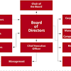The ceo can guide the meeting until the officers are elected, and then turn the gavel over to the chair. 1