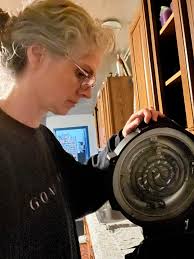 Quick dinner ideas for pressure cooker/air fryer combo