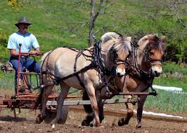 نتیجه جستجوی لغت [workhorses] در گوگل