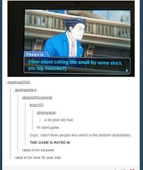 Image Result For Ace Attorney Phoenix Wright Memes Phoenix Wright Funny Games Attorneys