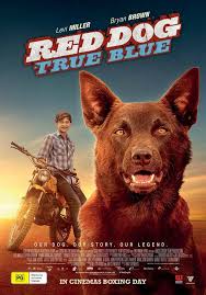 His story became famous across the area due to how far he traveled looking for his owner. Red Dog True Blue 2016 Rotten Tomatoes
