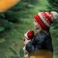 Build A Friend Holiday Workshop~Friday & Saturday event image