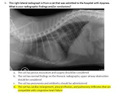 This page is a casual forum for people to express their concerns, find support or just gather info. Radiology Quiz Cardiorush