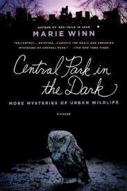 Tek gecelik bir ilişki bitmeyen bir kabusa dönüşür. Central Park In The Dark More Mysteries Of Urban Wildlife Winn Marie Amazon Com Books