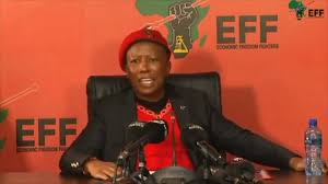 Eff leader julius malema addressed the med. Cttnmj Ta3xddm