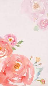 Iphone 6 Iphone 6 Plus Floral Wallpaper Iphone Flower Iphone Wallpaper Watercolor Wallpaper