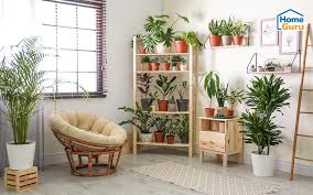 Big plants can be placed in the corner of the living room while the small plants can be placed on the tables that are arranged in the living room. 10 Ideas For Decorating Your Home With Cute Plant Pot