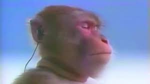 Maybe you would like to learn more about one of these? Morning Motivation Monkey Neon Talk Mashup Youtube