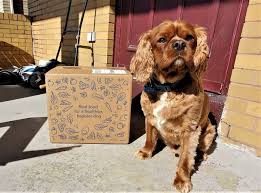 We carry answers pet food for your cat or dog at our local store in riverdale, new jersey. Spot Tango Dog Food Review Reasons To Buy Not Buy 2021