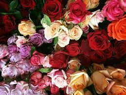 + pelion high school, 600 lydia drive, pelion, sc 29123 or community home care & hospice, 156 corporate blvd., indian trail, nc 28079 or to the council on aging in union county, 1401. Flowers By Irene Home Facebook