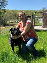 Petsmart is the adopt spot. Adoptions Hall County Ga Official Website
