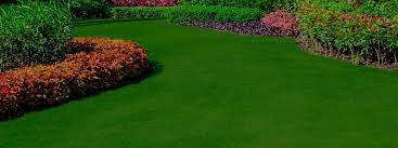 Many companies conduct all their business online, never meeting the customer. Comprehensive Lawn Care Near Me Naturally Green Lawn Care