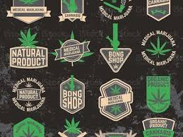 Der frühere nationalkeeper entschuldigt sich, verliert aber. Dennis Manzke Dennismanzke Profil Pinterest