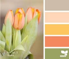 Saudi Arabia Color Schemes Colour Schemes Design Seeds