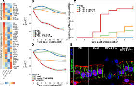 Le 21 mars 2015 est le jour 80 de l'année 2015. Bacterial Colonization Stimulates A Complex Physiological Response In The Immature Human Intestinal Epithelium Elife