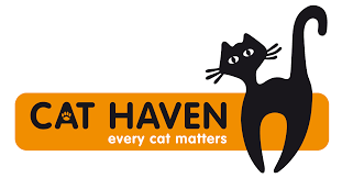 It can depend on the type of animal (cat, dog, etc.), the size and weight of the animal, and the place where the. Cat Haven Cat And Kittens For Sale Adoption Foster Rescue A Cat Cathaven Perth