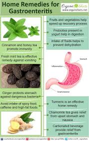 Home Remedies For Gastroenteritis Organic Facts Stomach Remedies Remedies Home Remedies