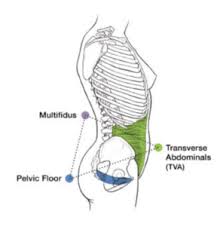 They also strengthen muscles in your stomach and back. Is Your Pelvis The Key To Unlocking Chronic Lower Back Hip And Foot Pain Emh Physical Therapy