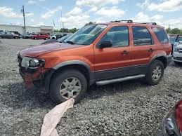 Image result for Orange Crush 2006 Escape