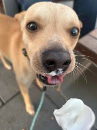 Anyone else need any more convincing that Schmitt is here to stay? He is  AWESOME!