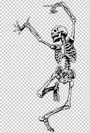 Human Skeleton Dance Skull Png Clipart Area Arm Art Ballet Dancer Cartoon Free Png Download Skeleton Drawings Skeleton Art Skeleton Tattoos