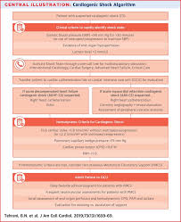 Damage to your heart can decrease the blood flow to your body, leading to cardiogenic shock. Standardized Team Based Care For Cardiogenic Shock Sciencedirect