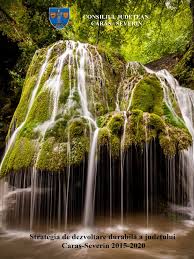 Transport persoane si marfa > autotim ★ timisoara. Strategie Dezvoltare 2015