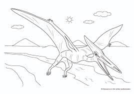 Voeg de kleurplaat dan hier toe. Mewarnai Gambar Polos Kleurplaat Over De Dinosaurussen