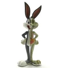 During the golden age of american animation. Xxray Series Bugs Bunny Looney Tunes Artoyz