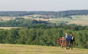 Maybe you would like to learn more about one of these? Uckermark Landurlaub Brandenburg