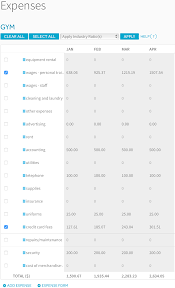 A Powerful Financial Model For A Startup Gym Projectionhub