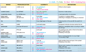 Listen to the following words The Wad Contains 3 Pairs Of Noun Verb Terms Choose One Pa Chegg Com