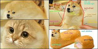 Последние твиты от dogecoin memes (@dogecoinmemes). Kennen Sie Den Beruhmten Dogen Der Meme Suki Desu