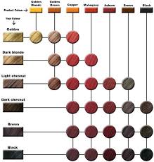 Worlds End Natural Products Henna Guide Shade Chart